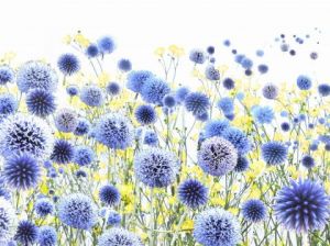 Galerie d'art de Jean-luc Rousseau