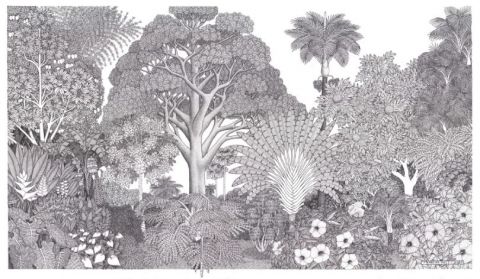 Dessin - Encre par Francois MOLL : UN ECOSYSTEME TROPICAL